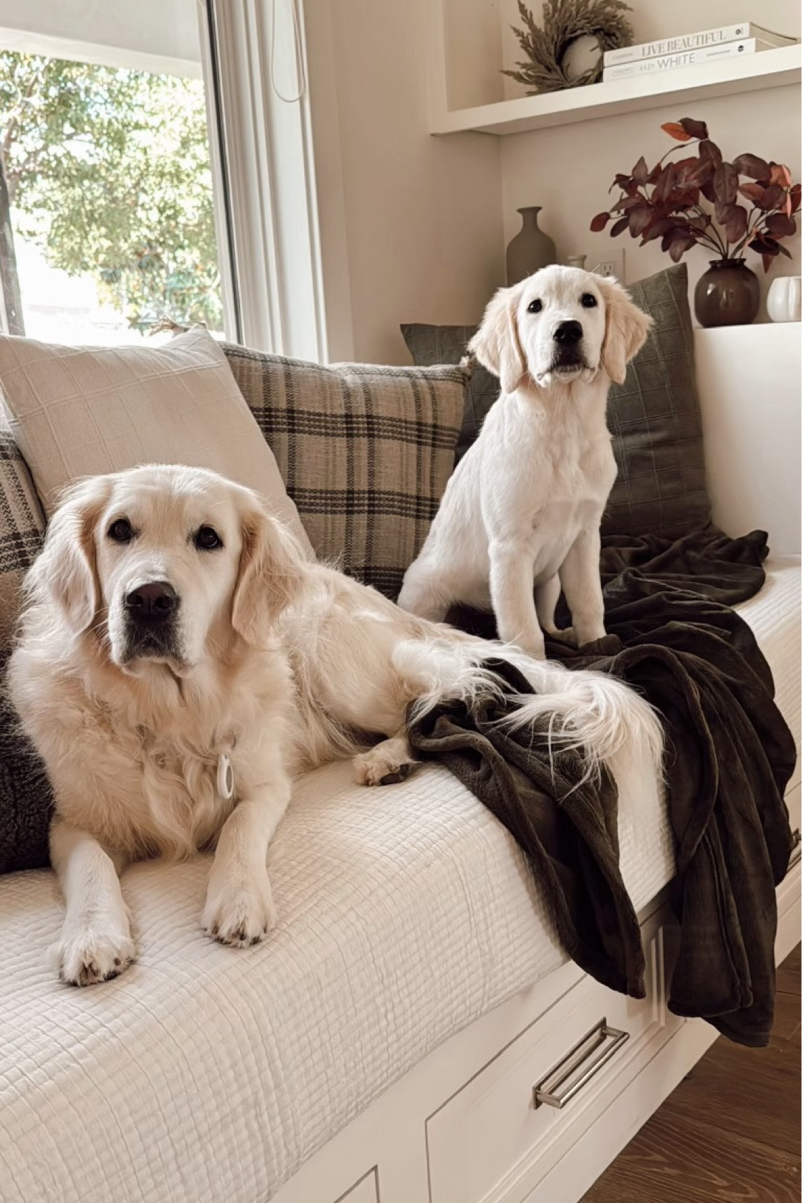 DECORATING FOR FALL🍂
#stylinbyaylin #stylinaylinhome #aylin #targethome #targetfinds #falldecor

#LTKSeasonal #LTKHome #LTKHoliday