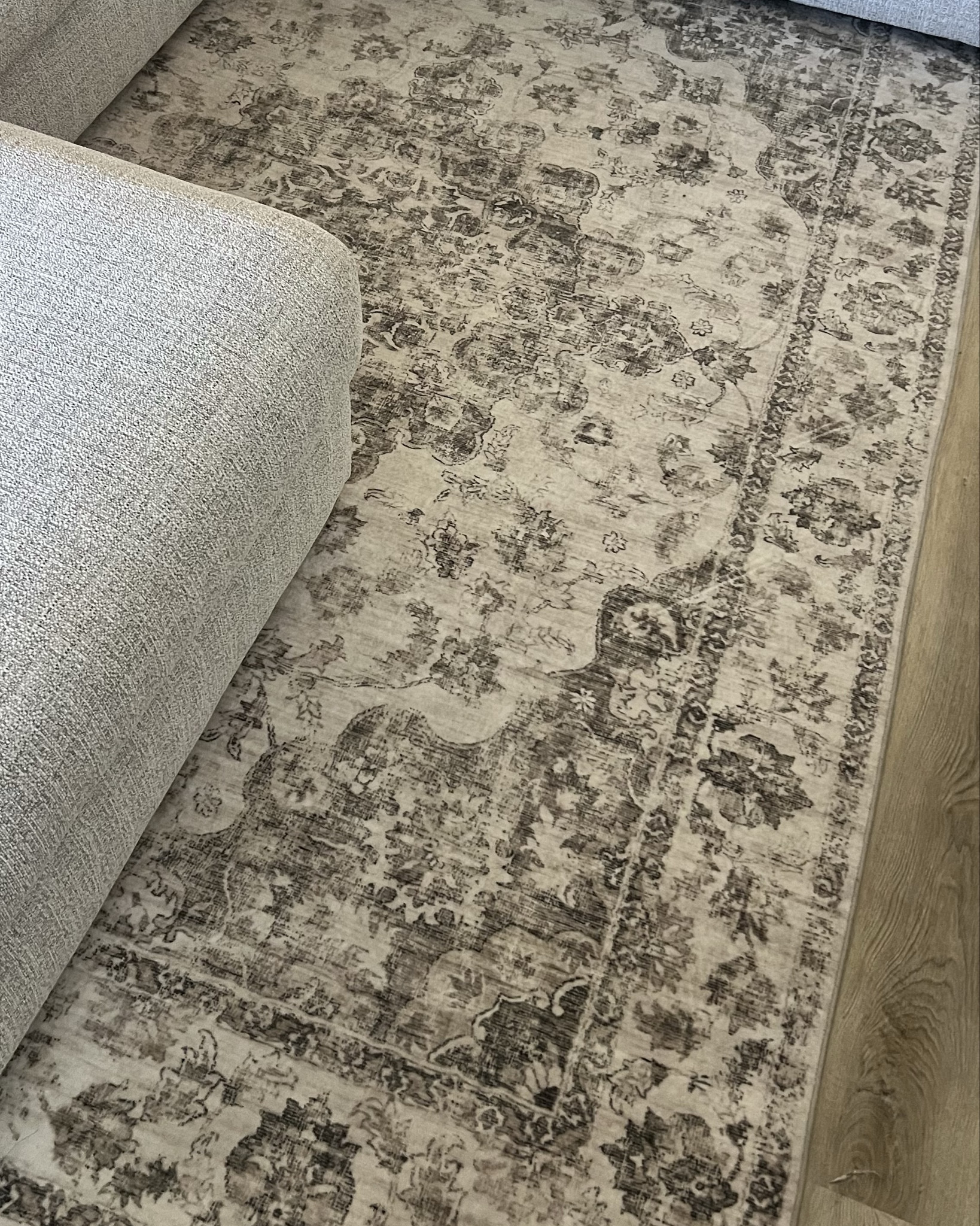 The perfect rug! So easy to clean and it’s also machine washable. I got the color taupe size 6x9🤍☁️✨

#LTKHome #LTKFindsUnder100 #LTKSaleAlert