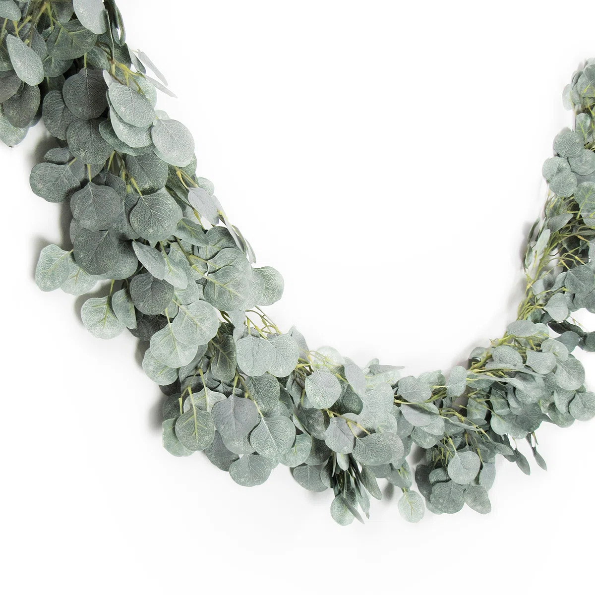 6" Frosted Silver Dollar Eucalyptus Greenery Garland | Wayfair North America