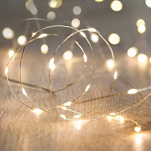 Amazon.com : LED String Lights, ANJAYLIA 16.5Ft/5M 50leds Battery Operated Fairy Lights for Garde... | Amazon (US)