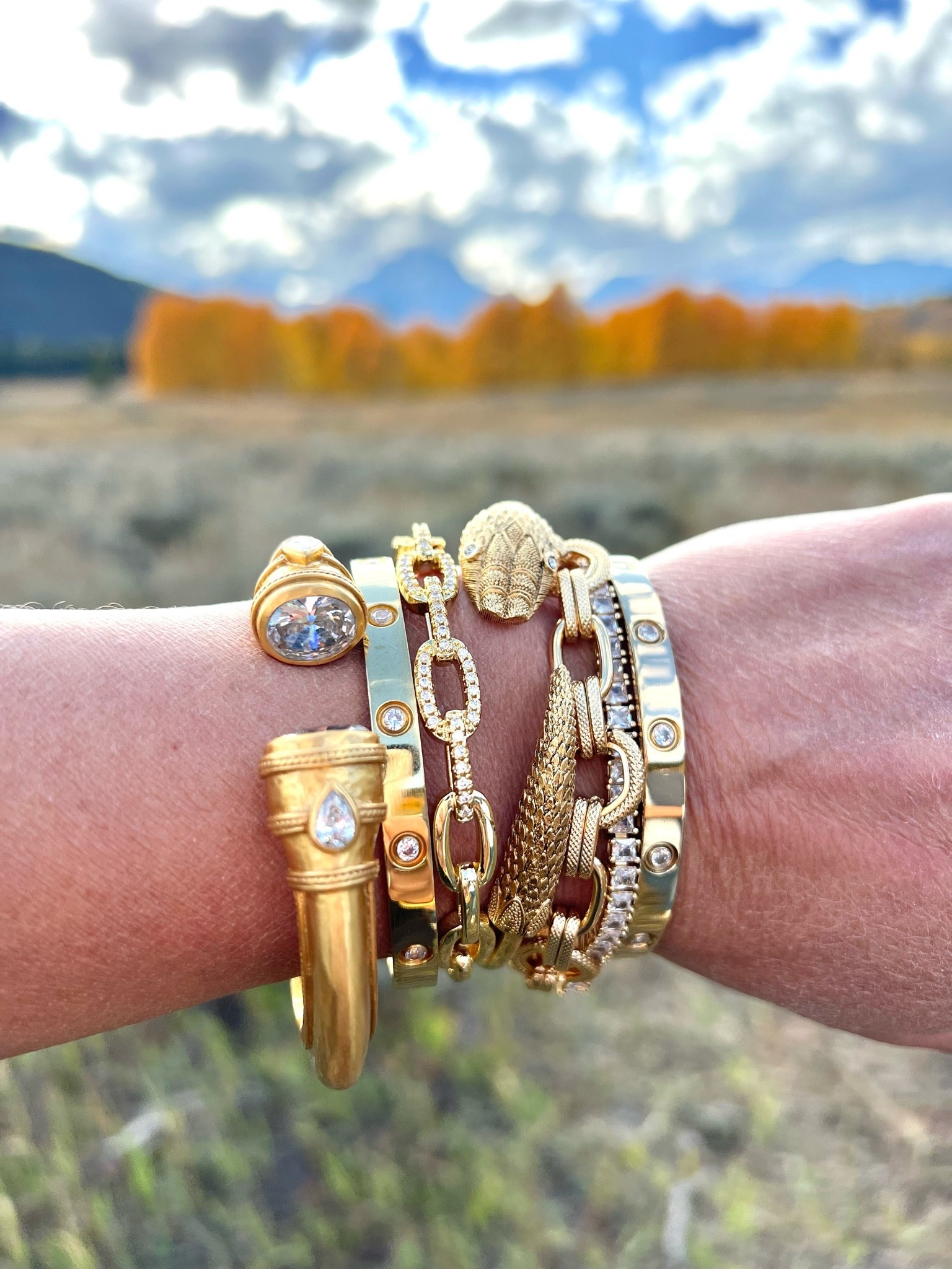 Gift guide:  Bracelet, gift guide, gift guides, gifts for her, gift guide for her, gift ideas for her, gift ideas, holiday gifts, holiday gifting, holiday gift, holiday gift guide, gift guides, gift, gifts, holiday season, holiday gifts 2026

#LTKSeasonal #LTKOver40 #LTKWedding #LTKTravel #LTKgrwm #LTKootd #LTKSwim #LTKActive #LTKU #LTKWorkwear