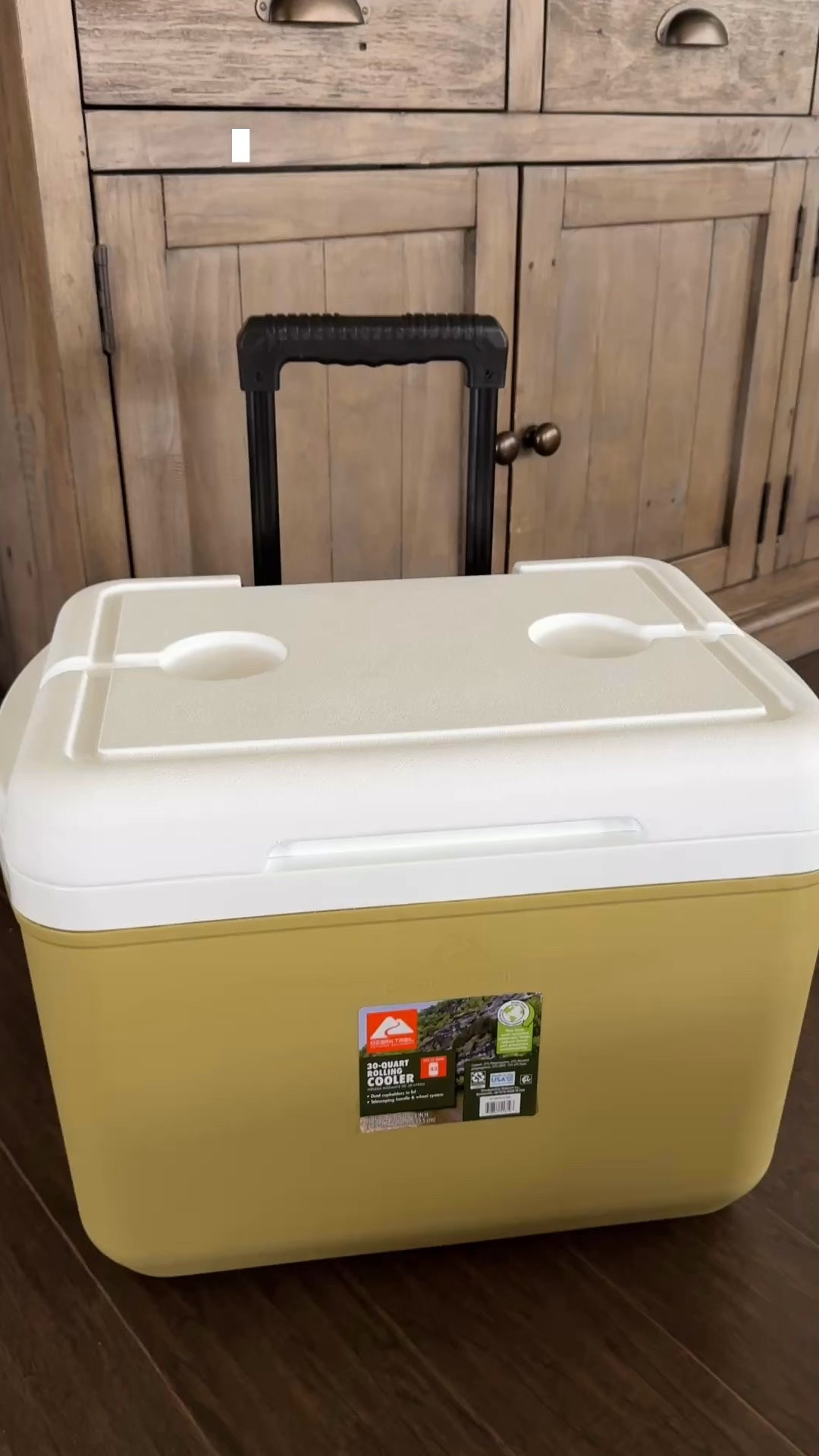 Cute rolling cooler only $35!