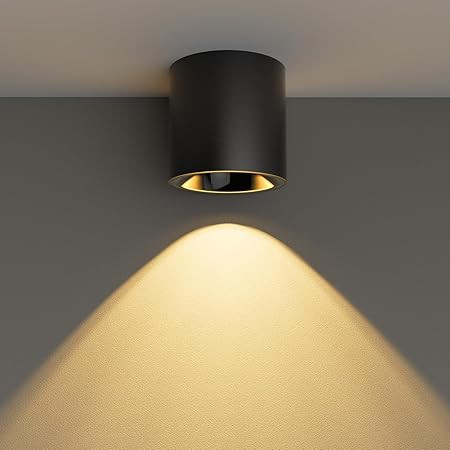 LED Dimmable Ceiling Spot Light Aluminum Matte Black 4.72'' Cylinder Spotlight Indoor Modern Mini... | Amazon (US)