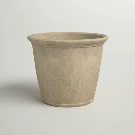 Sand & Stable Kehlani Resin Pot Planter | Wayfair | Wayfair North America
