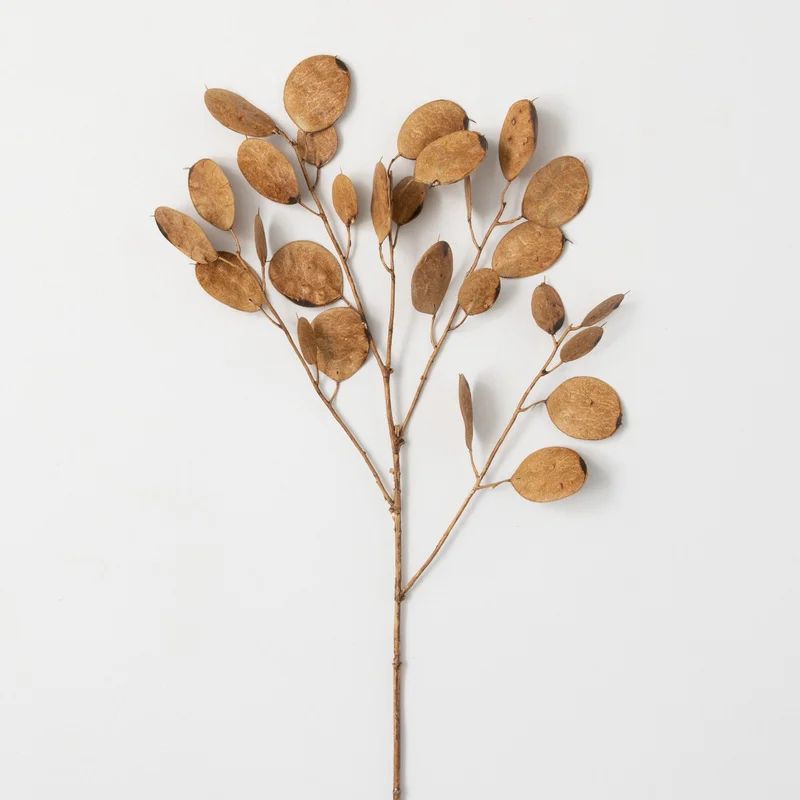 Mcneely Linaria Stems | Wayfair North America