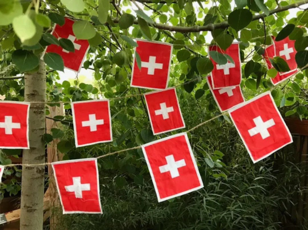 Swiss Flag Garland - Etsy | Etsy (US)