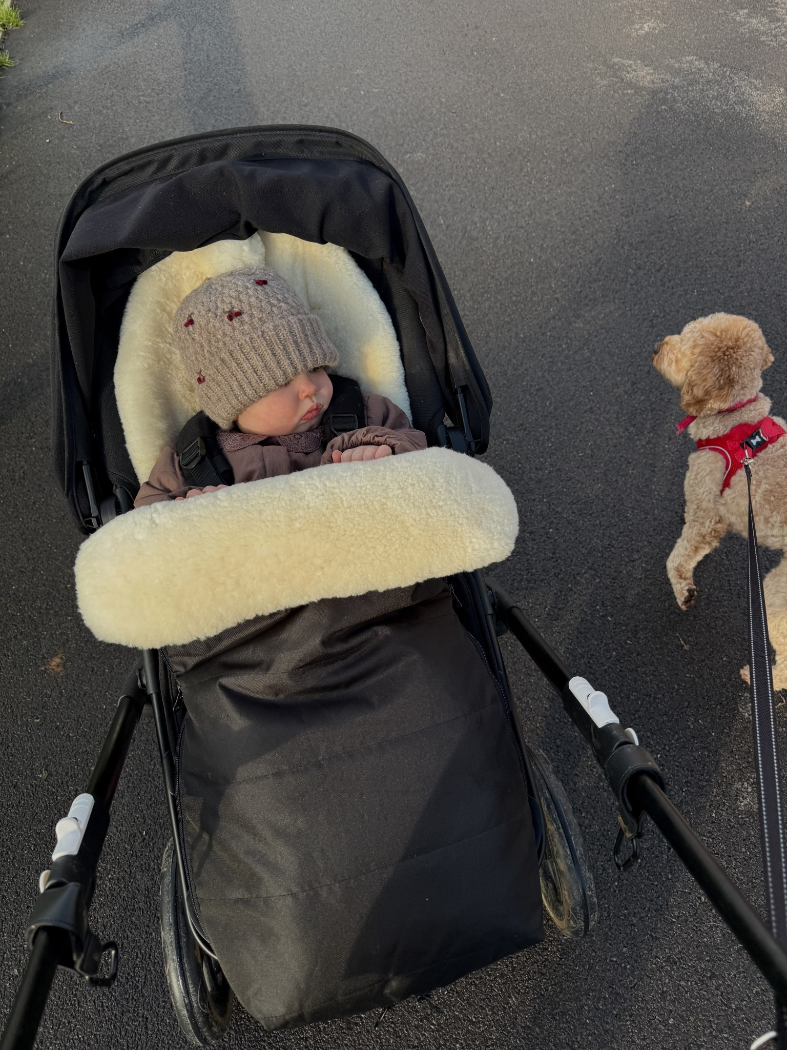 Fresh air ❤️‍🩹

#LTKbaby #LTKwinter #LTKkids