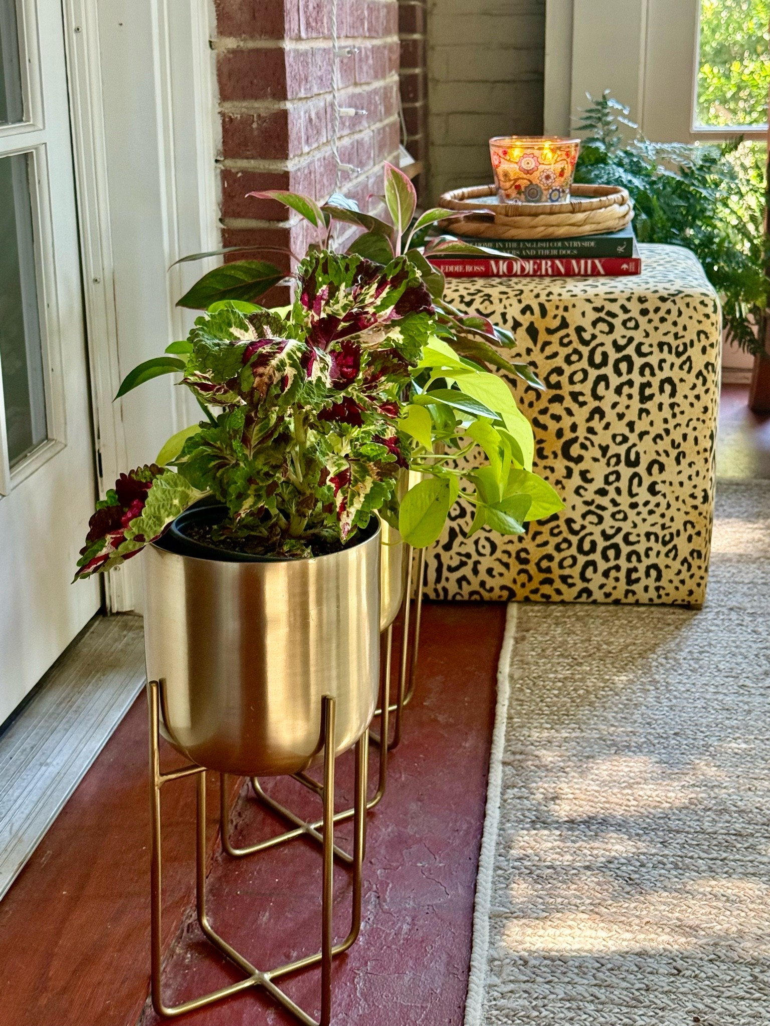 I can’t say enough about how much I love these planters. They have graced so many rooms in our house + they are so cool + chic! This rug is in 3 rooms/areas in our home ~ the living room, sunroom + laundry area. That’s how spectacular it is!! My leopard cube is snother piece that travels from room to room. Small furniture pieces like this are so versatile because you can use them as tables or to prop your feet up.

#LTKdayinmylife #LTKHome