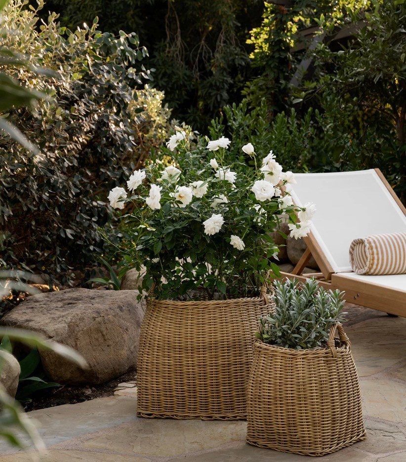 Mcgee and Co planters 

#LTKGiftGuide #LTKHome #LTKCyberWeek