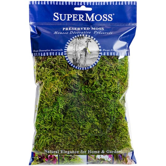 SuperMoss® Preserved Moss in Green | 0.13 lb | Michaels® | Michaels Stores