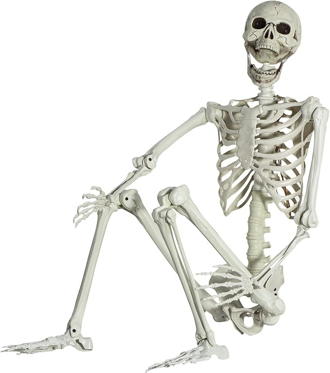 5.4Ft/165cm Posable Halloween Skeleton, Full Body Life Size Skeleton with Movable Joints for Indo... | Amazon (US)