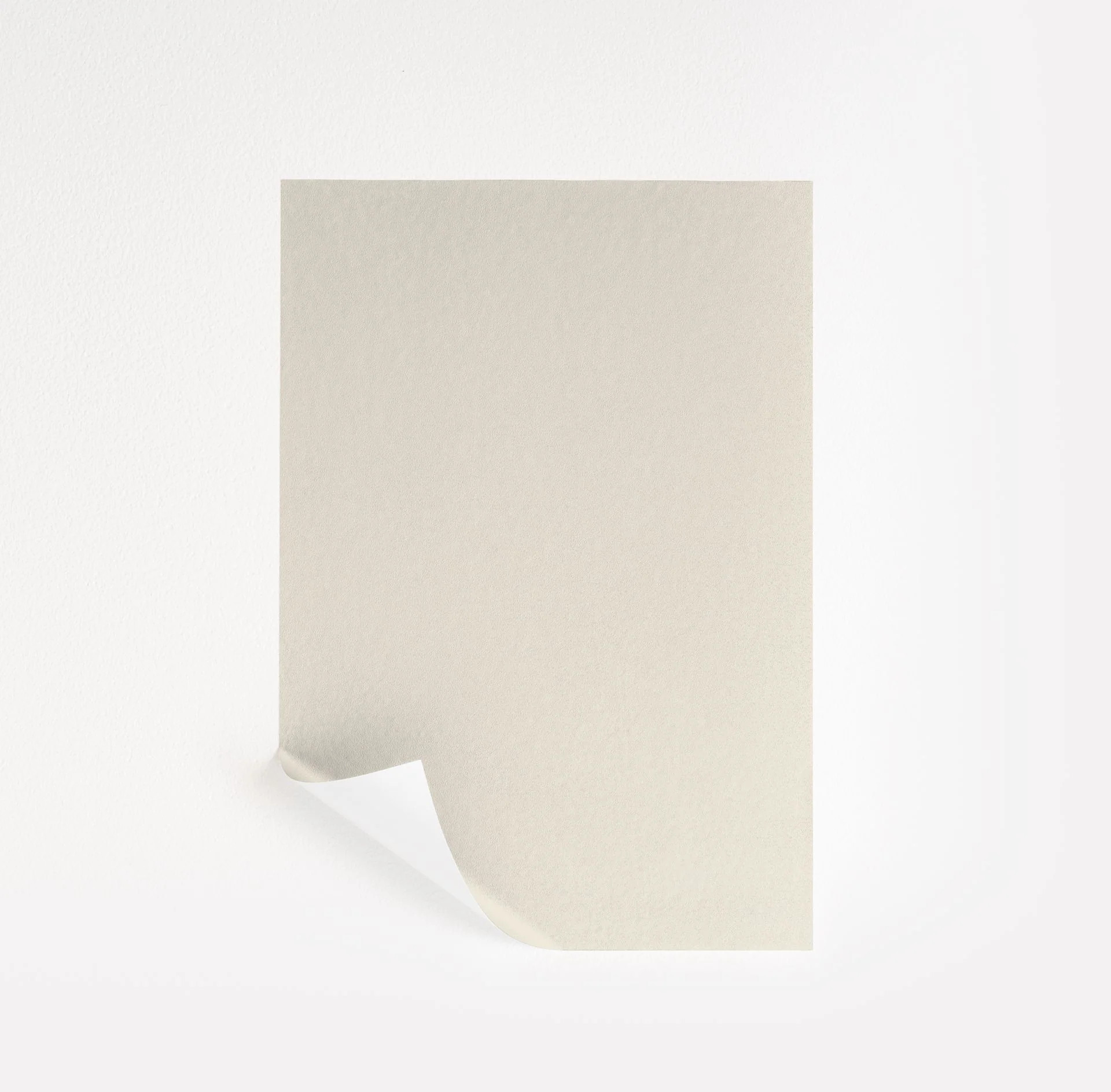 Classic Light Buff  Paint Sample | Samplize