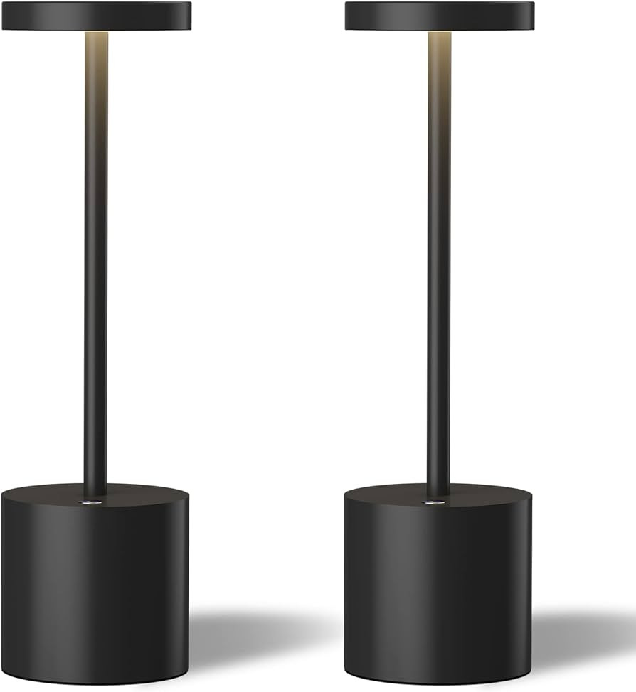 TBBGA LED Cordless Table Lamps Set of 2,Portable Rechargeable 5000mAh Outdoor Table Lamp,3 Color ... | Amazon (US)