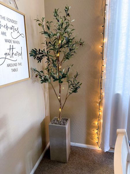 🪴The perfect planter to make your olive tree taller. I used a box that I put inside the planter, an old towel to fill it up and keep the tree in place and moss to cover the towel. My olive tree was 5 feet tall, now it’s 6. 




#homefinds #amazon #amazonhome #hacks #amazonmusthaves #amazoninfluencer #amazonfind #amazonshopping #planter #homehacks #homedecor #olivetree #concreteplanter #indoorplantsdecor #indoorplanters #homedecoration #hometips #homehack #indoorplants #indoorplant #fauxplants #plantlife #plantlover 

#LTKfindsunder50 #LTKhome #LTKstyletip





#LTKSeasonal #LTKsalealert #LTKfamily