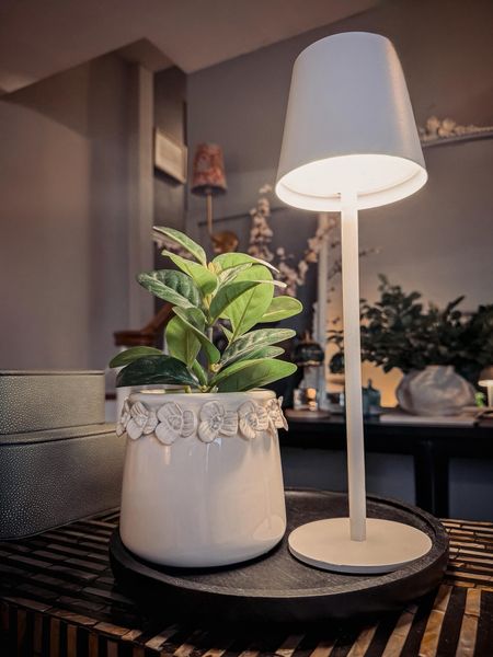 This touch lamp is my new favorite find! It’s rechargeable and you can put it all around your home without having to worry about a plug. 

#LTKhome #LTKsalealert #LTKSeasonal