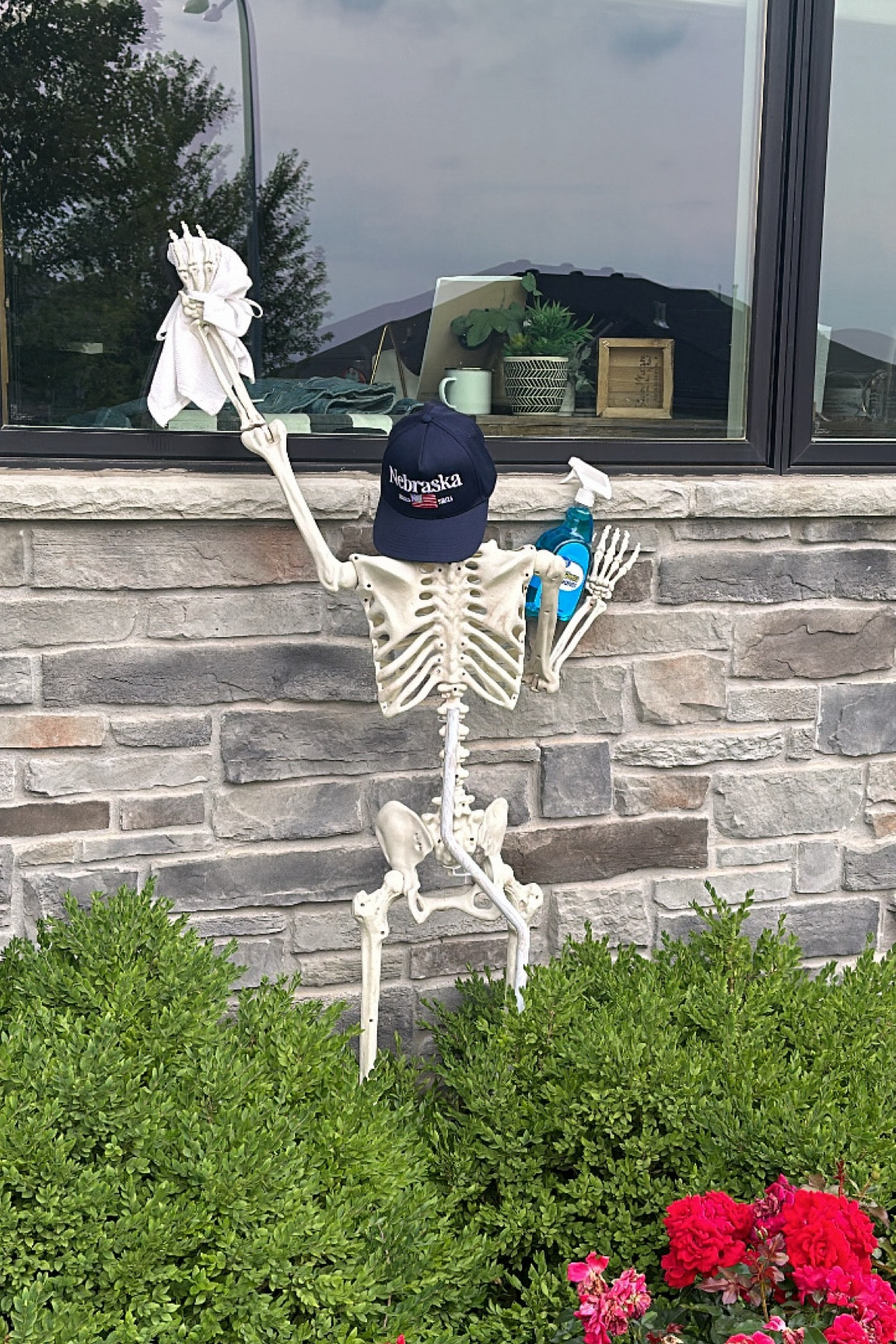 Dying for clean windows 😉

One of my favorite early skelly creations to date 👏🏻👏🏻 

#LTKSeasonal