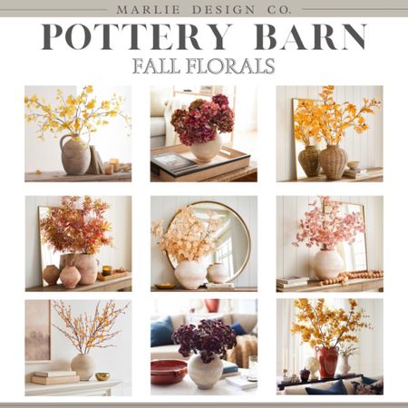 Pottery Barn Fall Florals | new arrivals | fall decor | fall stems | faux stems | neutral home decor | fall home decor | dried florals 

#LTKunder100 #LTKSeasonal #LTKhome