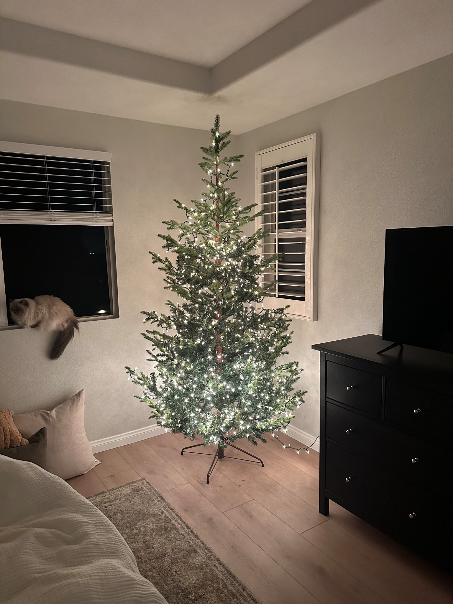 Christmas tree, sparse Christmas tree 

#LTKHome #LTKSeasonal #LTKHoliday