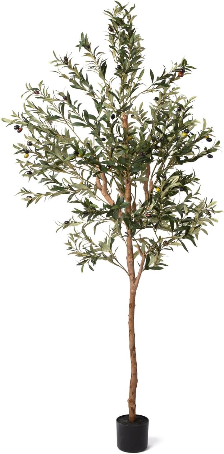 Arti Botani 6FT Artificial Olive Tree - Realistic Faux Silk Indoor Plant with Lifelike Olives, St... | Amazon (US)
