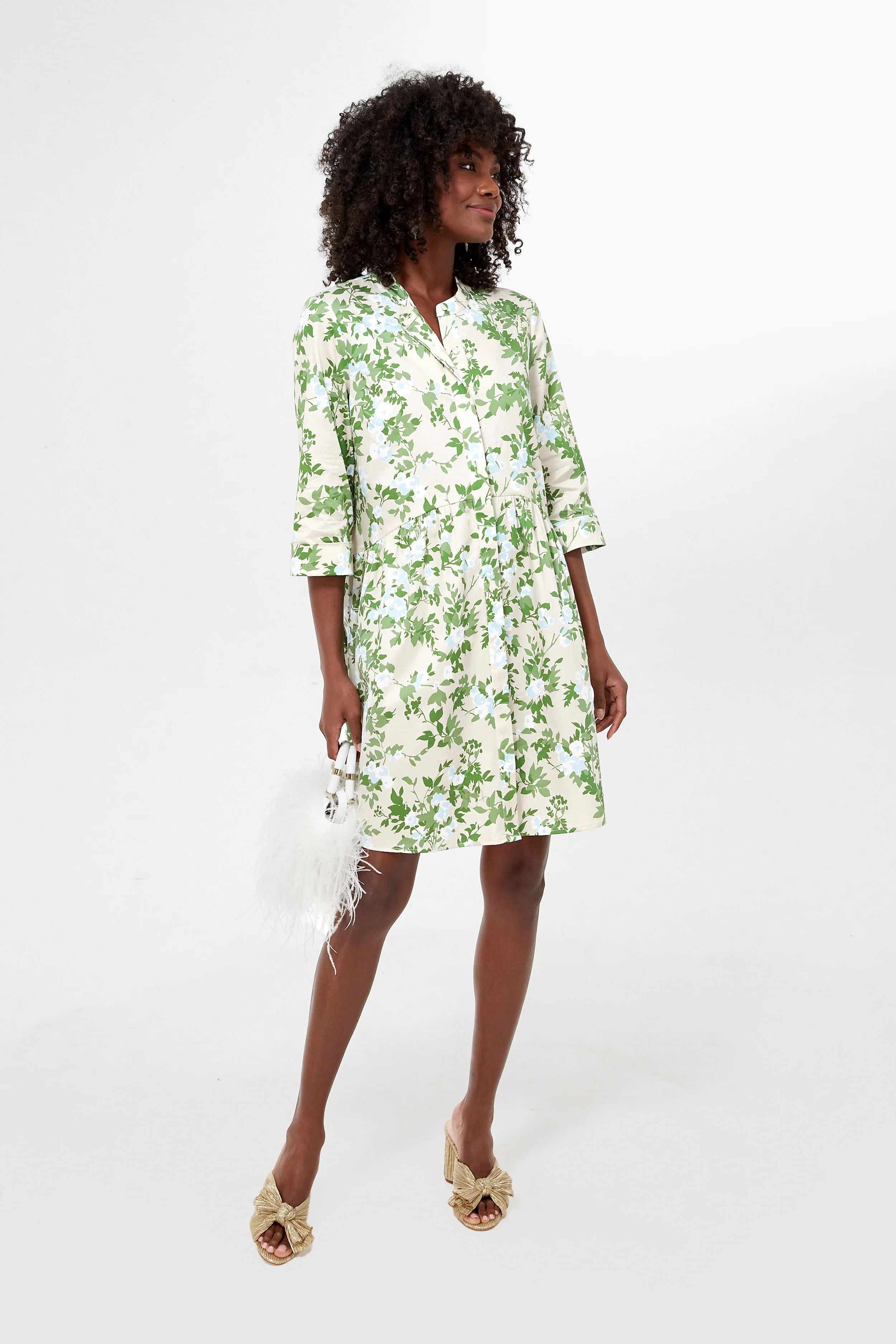 English Ivy Royal Shirt Dress | Tuckernuck (US)