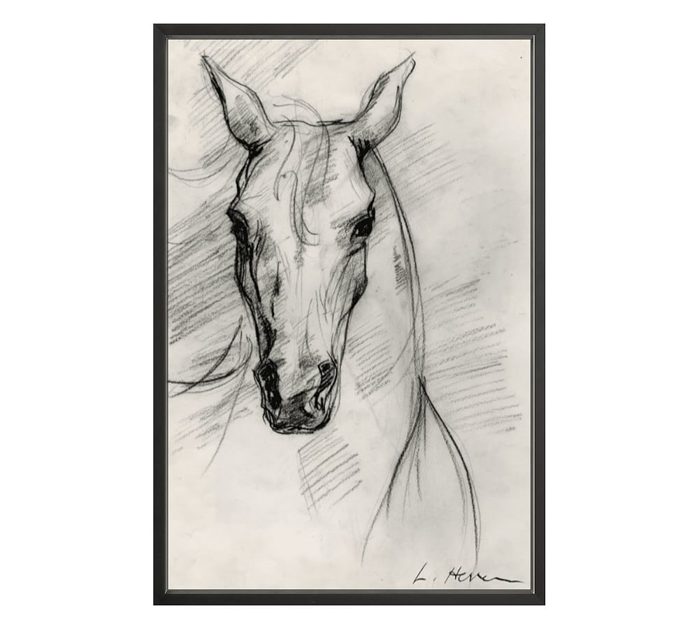 Custom Framed Print - Horse Study by The Artists Studio | Pottery Barn (US)