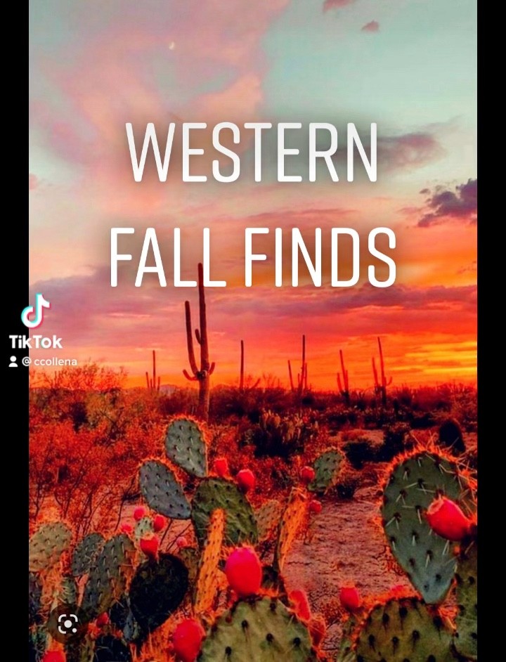 Western Fall SHEIN Finds
#western #westernwear #countey #countrymusic #concert #outfit #outfitidea #outfitinspo #yallternative #fall #shacket #jacket #style #casual #festival 

#LTKSeasonal #LTKunder50 #LTKstyletip