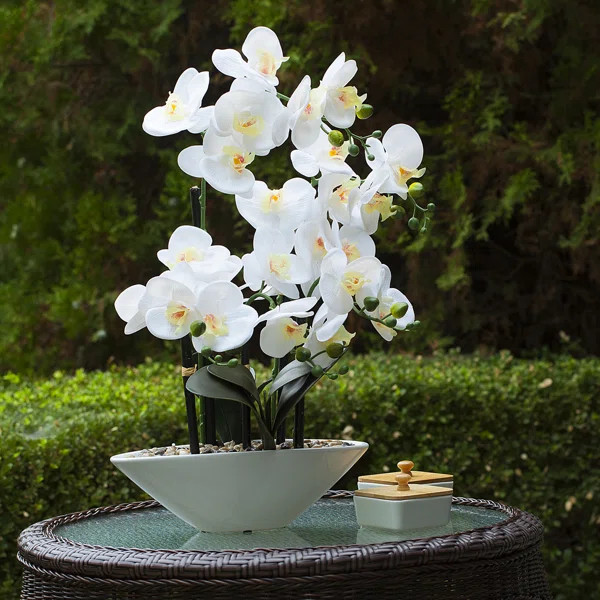 Artificial Real Touch Orchids Floral Arrangement in Pot | Wayfair North America