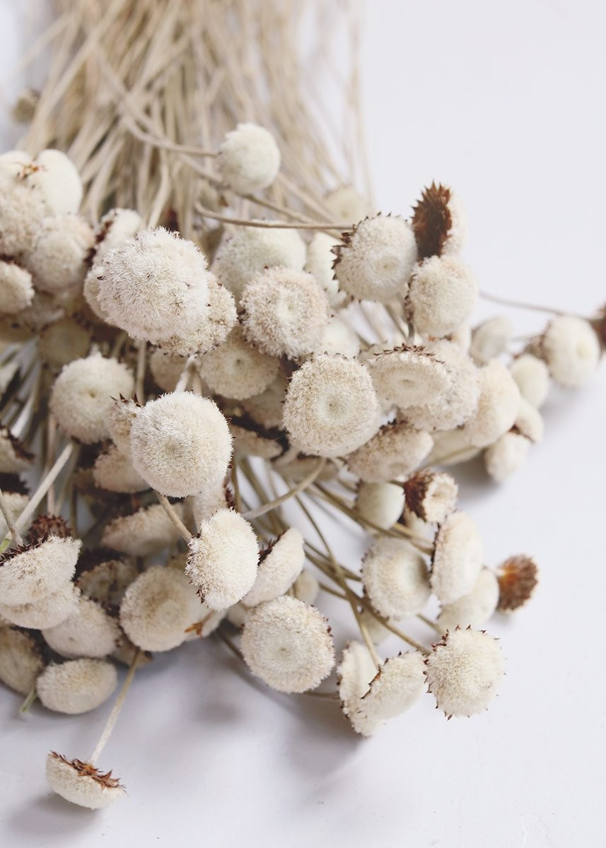 Natural Floral Buttons | Afloral (US)