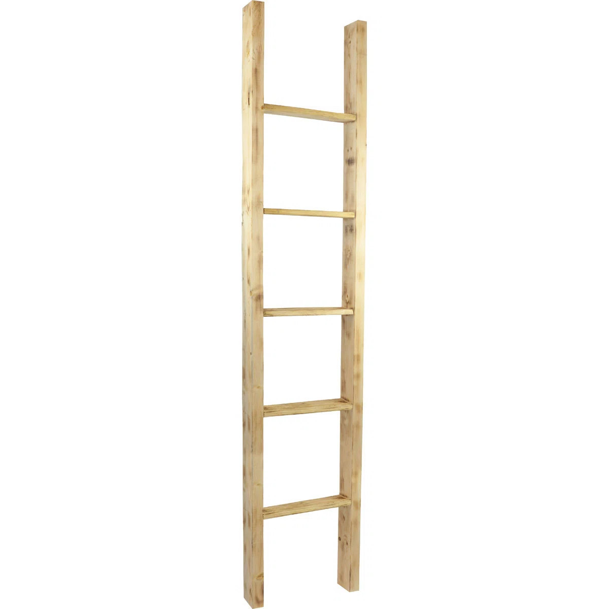 Vintage Farmhouse Rung Decorative Ladder | Wayfair North America