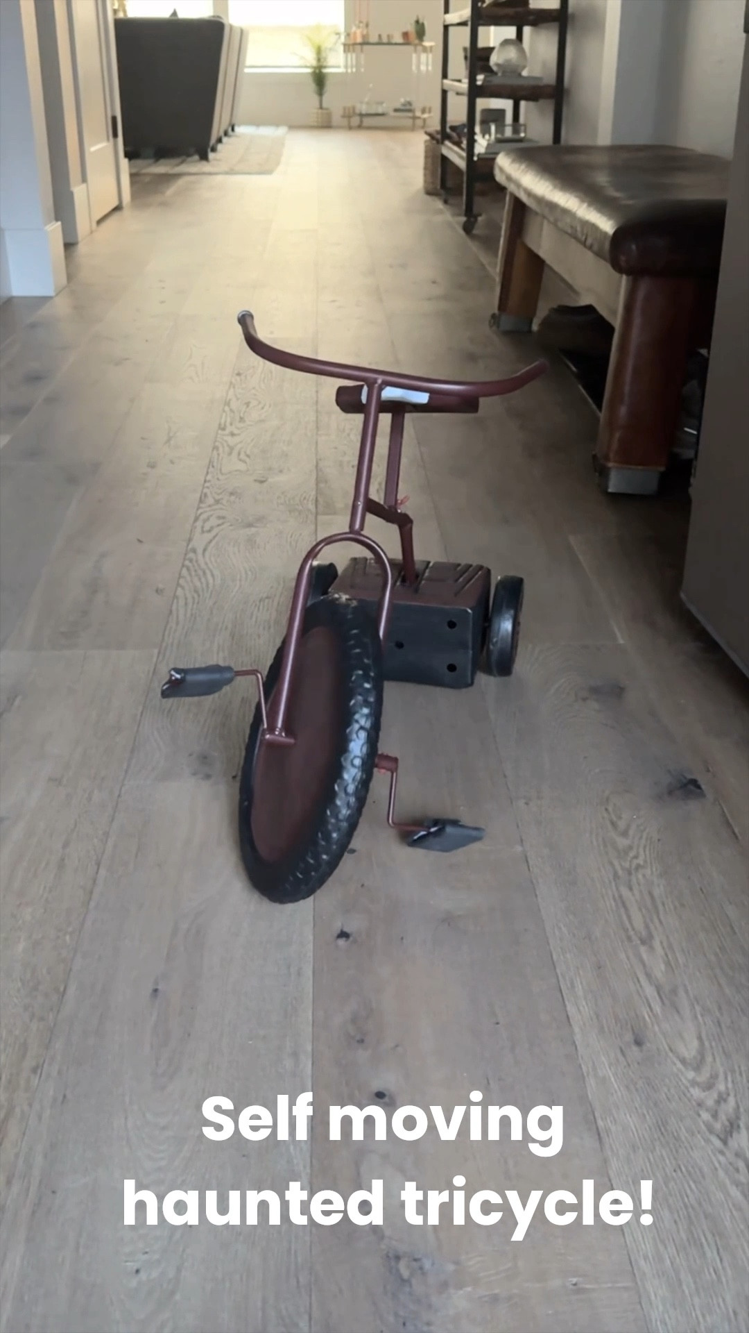 No creepier Halloween prop! This animated tricycle rolls forward and backward by itself!!! 
#halloweenprops #halloweendecor #halloweenanimateddecor

#LTKParties #LTKHome #LTKSeasonal