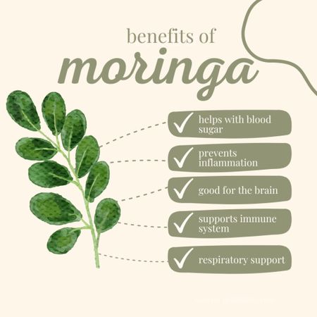 Moringa aka miracle tree has so many benefit! It’s super good for sure 

#LTKfindsunder50 #LTKhome