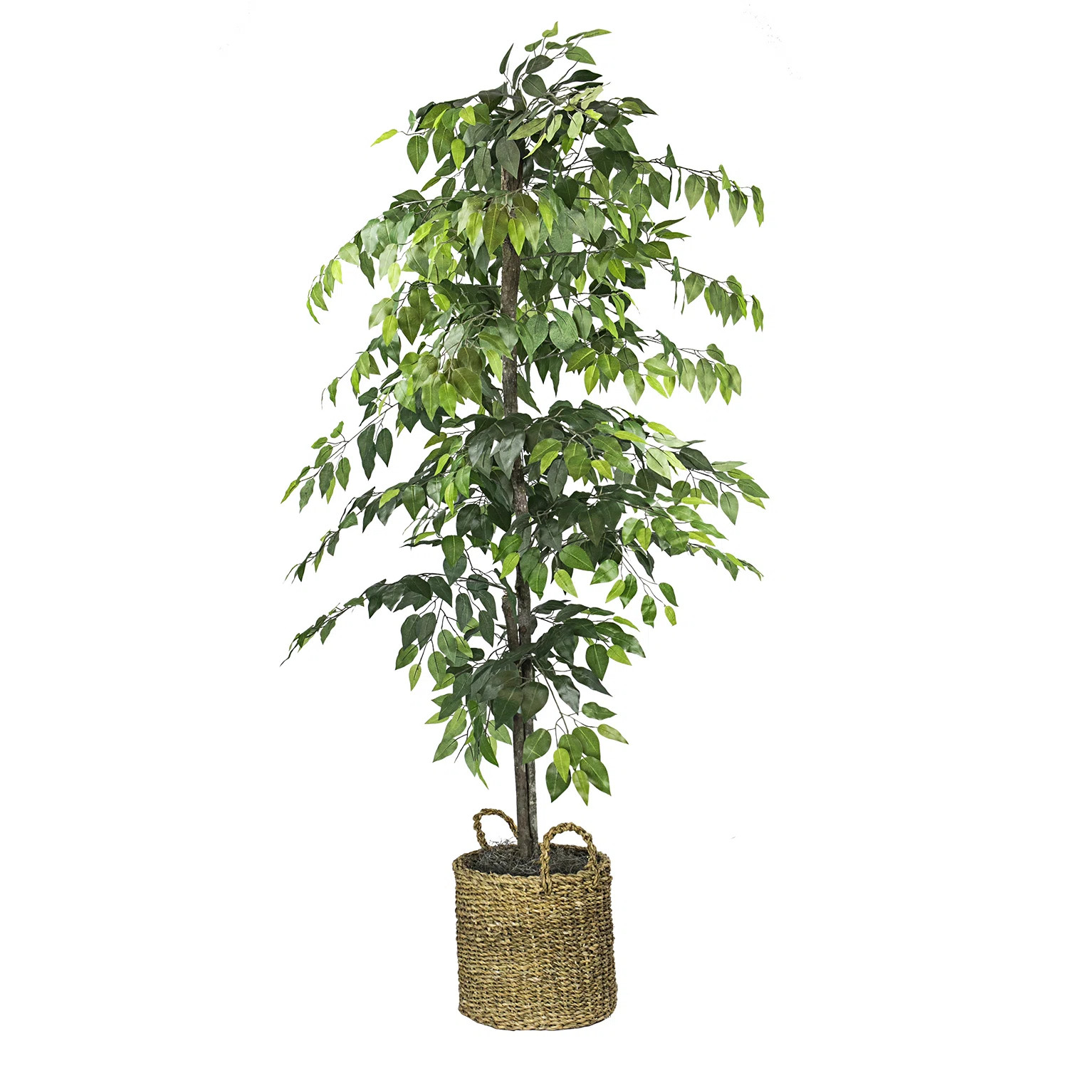 72'' Faux Ficus Tree in Rattan Basket | Wayfair North America