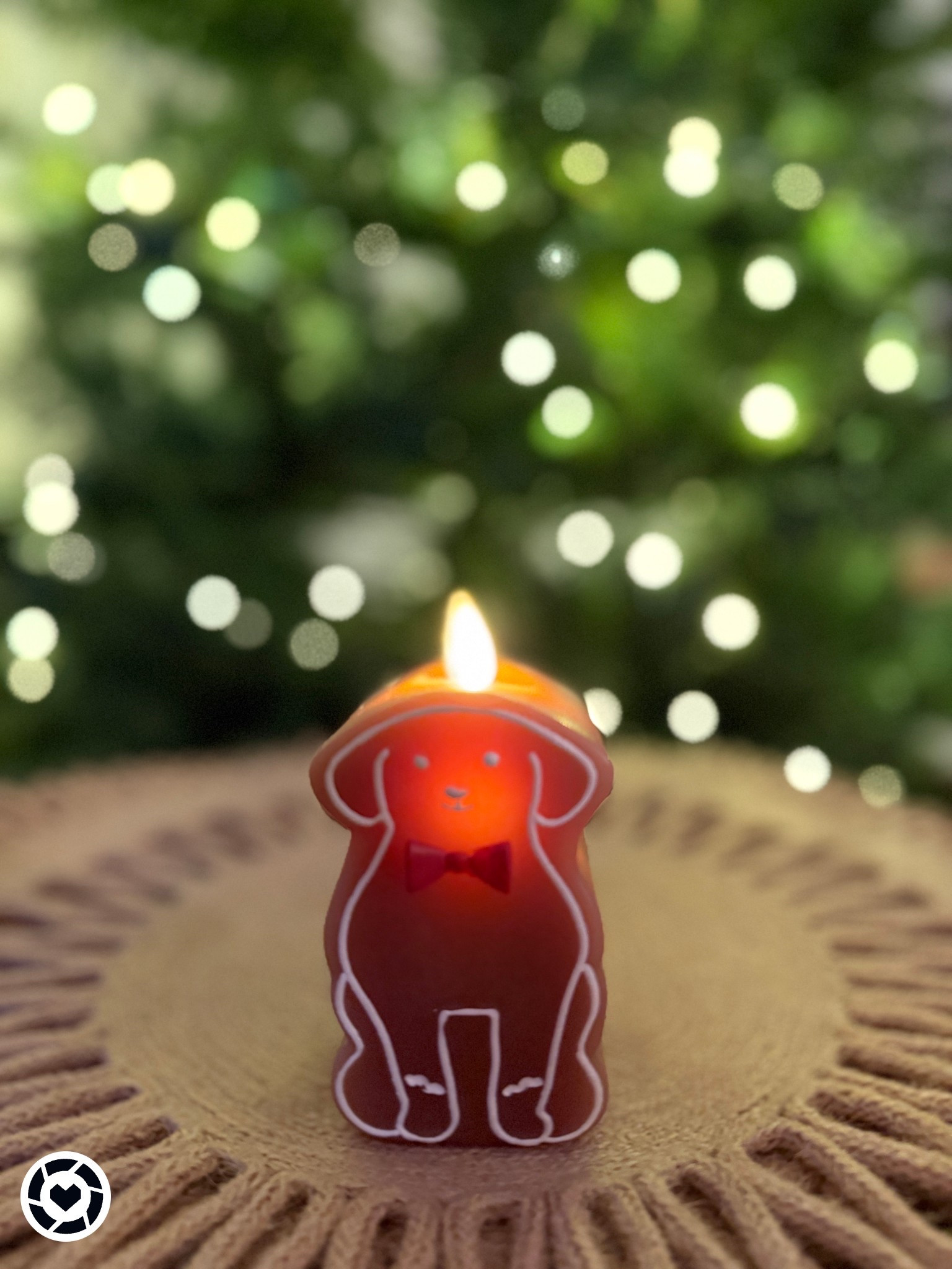 cutest luminara yet! looks just like our Puppy - this is from the new holiday collection - they also have gingerbread people  and a gingerbread cat !!  - use my code fearlessmermaid10 for a 10% discount- these candles are flanked and have a timer - set it and forget it and have the candle on nightly for 6 hours - lumina is known as having the best bonus candles on the market @luminara 

#LTKHome #LTKHoliday #LTKFindsUnder50