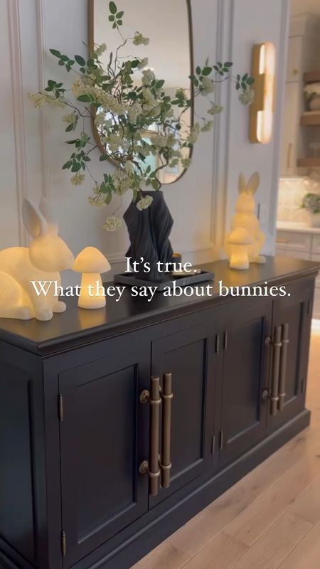 Easter Decor | Spring Decor

Easter bunnies. Spring style. Neutral decor. Neutral home  

#LTKhome #LTKVideo #LTKSeasonal