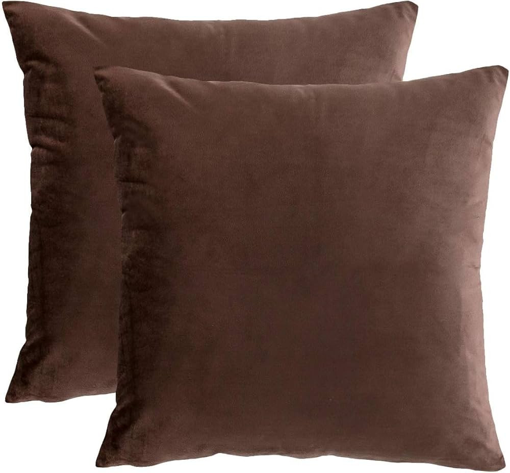 RainRoad Brown Throw Pillows Covers Set of 2 Soft Velvet Decorative Pillow Covers 20x20 Inch for ... | Amazon (US)