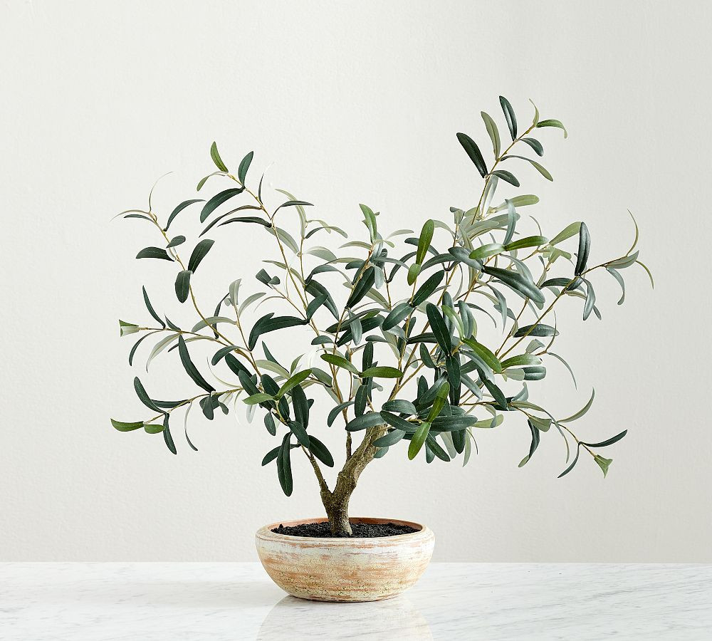 Faux Potted Olive House Plant | Pottery Barn (US)