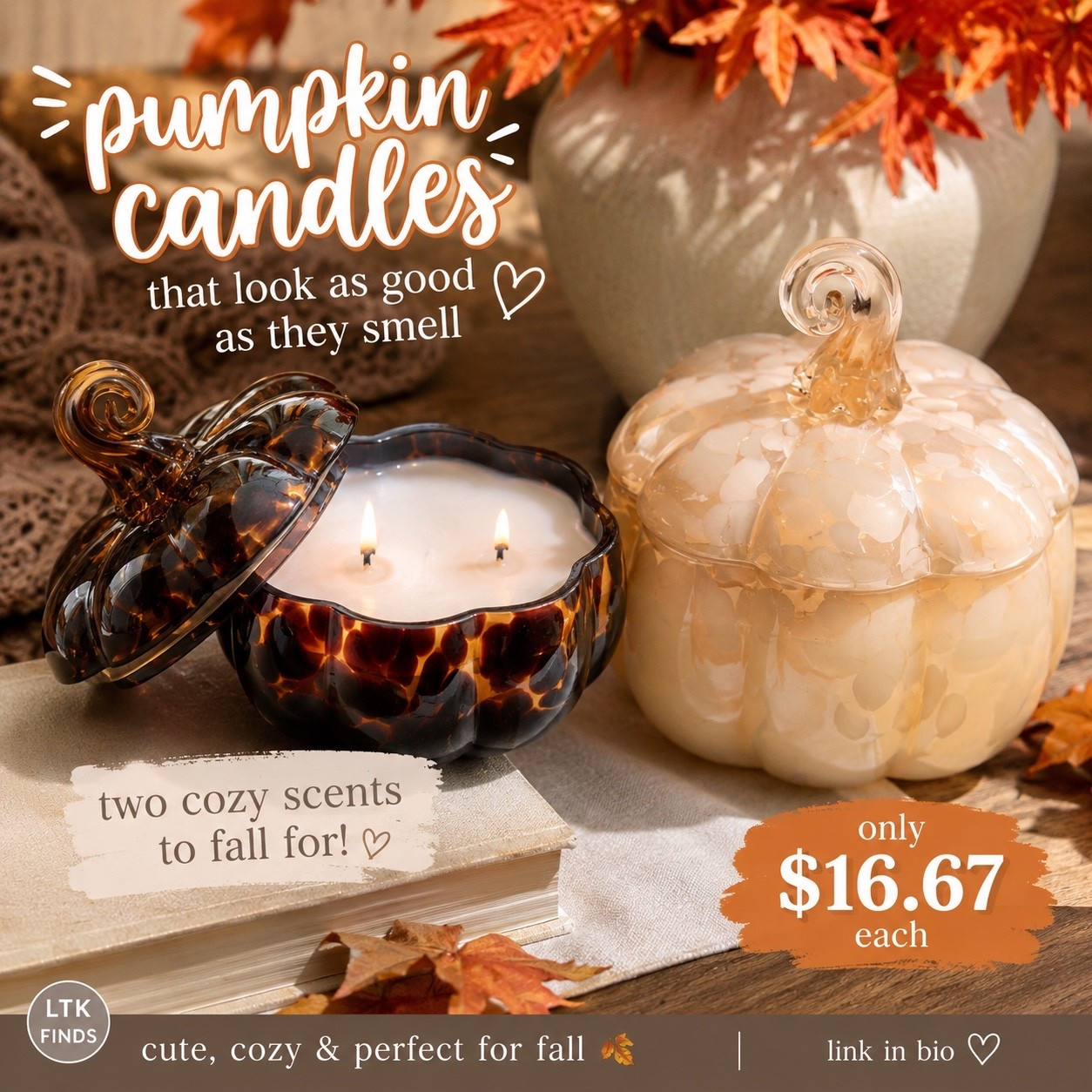These pumpkin glass candles are giving luxury fall vibes without the luxury price tag. 🤎 The hand-blown glass jars are so beautiful you’ll want to keep them long after the candle is gone. Whether you choose the rich tortoise glass or the creamy confetti finish, they’re the perfect centerpiece for a coffee table, entryway, kitchen island, or cozy fall shelf. And at just $16.67, they’re one of my favorite affordable fall finds this season!

✨ Beautiful enough to decorate with. Cozy enough to burn every day.

#FallDecor #FallCandles #PumpkinDecor #CozyHome #fallhome
