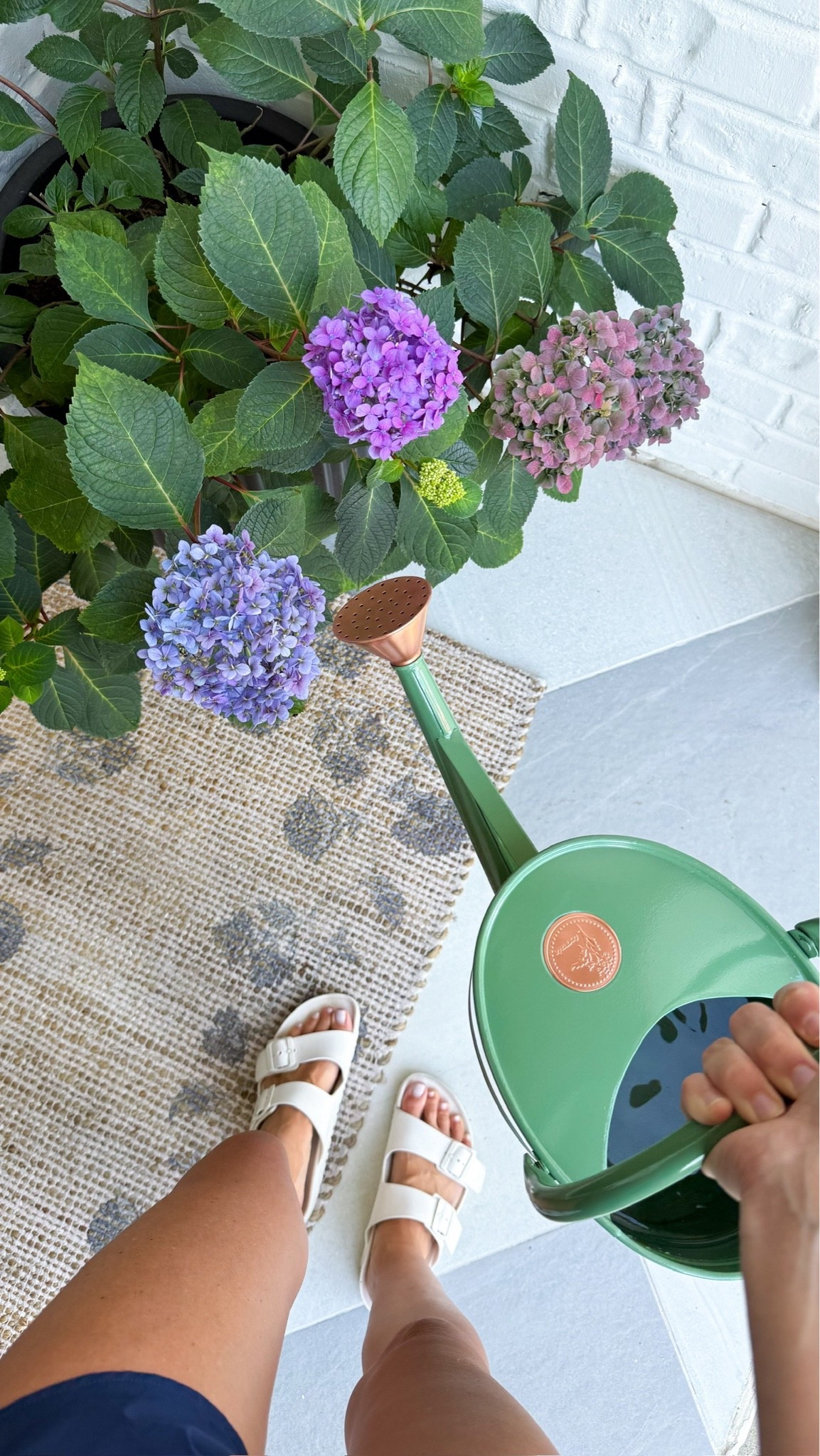 Adulthood is jumping out of bed in the morning giddy to go check on your plants with your new watering can.