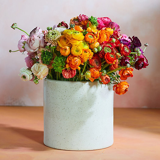 Fresh Rainbow Ranunculus Bunch | Terrain