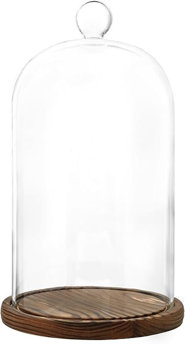 Glass Dome with Base,Glass Cloche Bell Jar,Display Case with Wooden Base for Plants,Collectibles ... | Amazon (US)