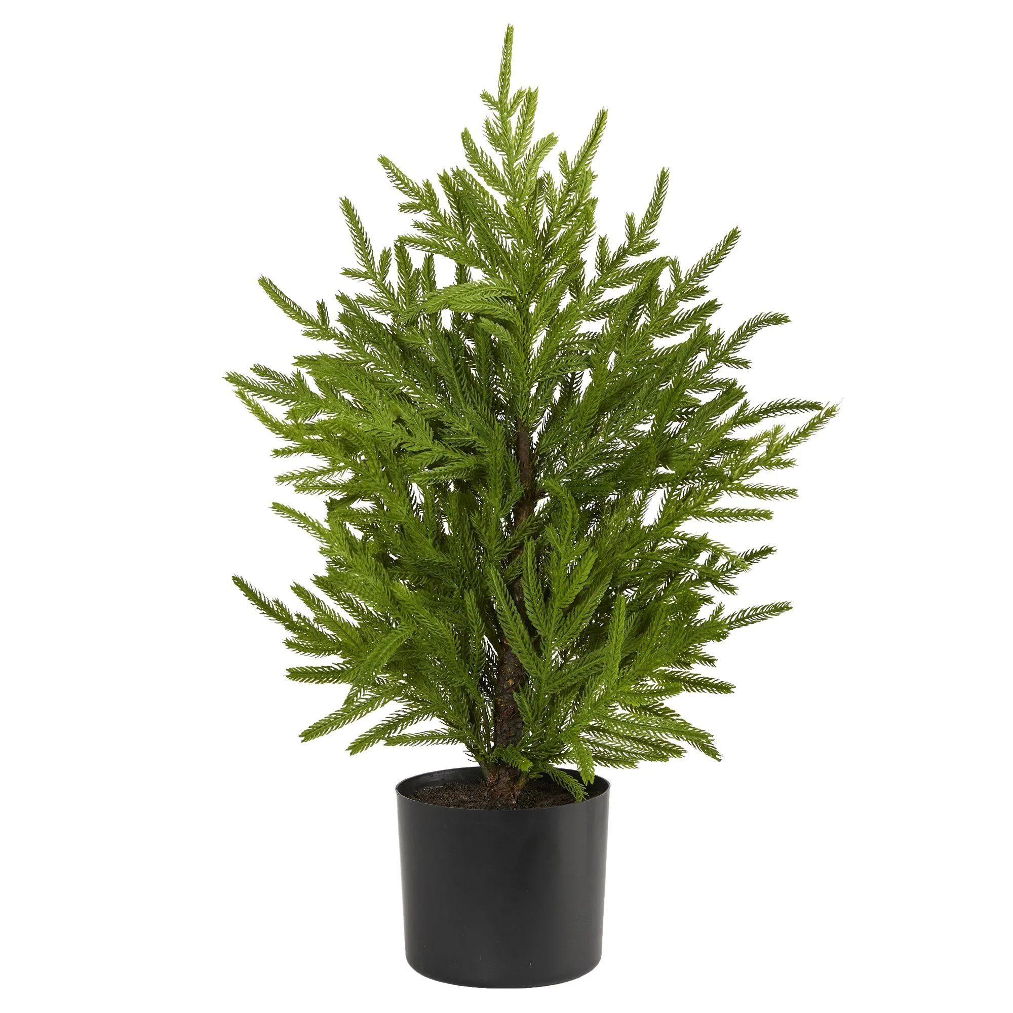 2’ Norfolk Island Pine “Natural Look” Artificial Tree in Decorative Planter | Nearly Natura... | Nearly Natural