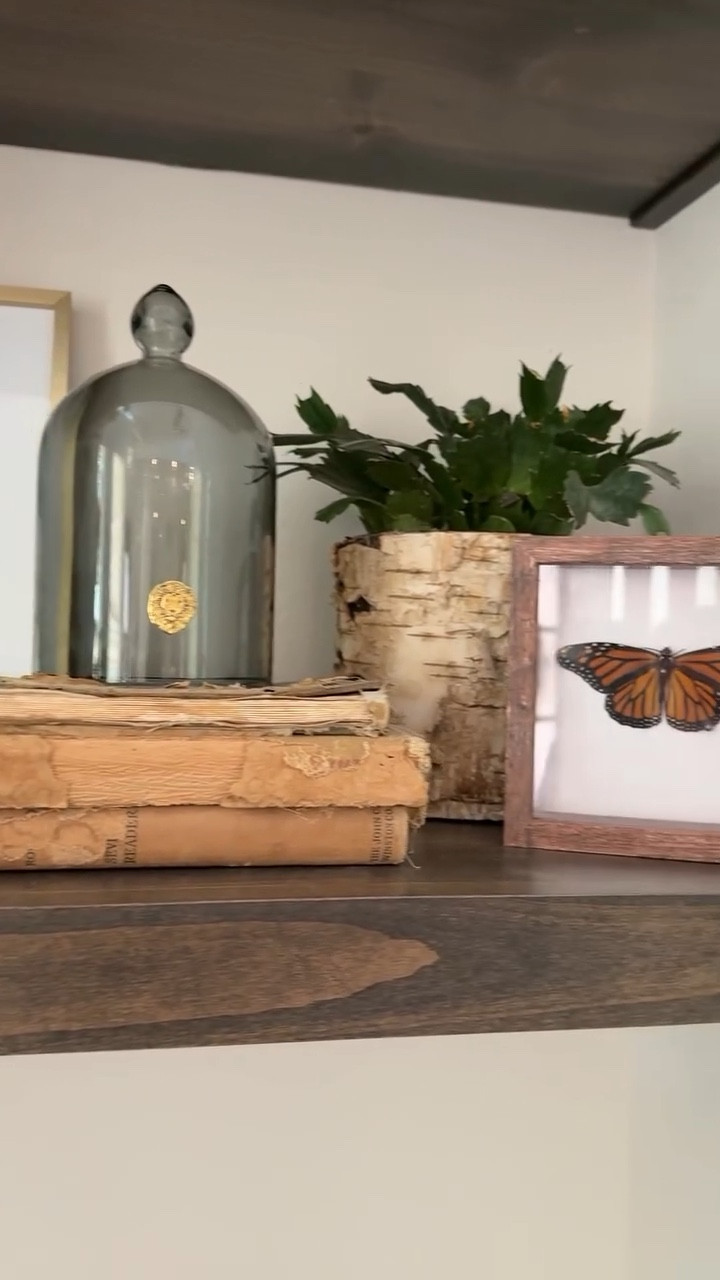 What I ordered versus how I styled it ✨ @alicelanehome is SO dreamy. I cannot wait to add a candle under my cloche but I’m craving a little creative touch during spooky season 👻🎃 use code ALICE20 for 20% off through the 31st. The new fall collection is calling my name 🍂 

#alicelanehome #ad #whatiorderedversuswhatigot #homedecor #shelfstyling #plantlover #plantlady #indoorplantsdecor #interiordesign #eclectichome #eclecticdecor

#LTKFindsUnder100 #LTKHome #LTKFindsUnder50