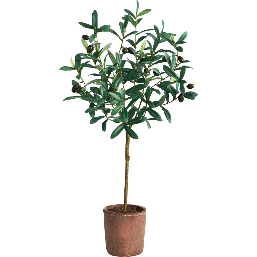 NEARLY NATURAL 31-in Olive Artificial Tree in Green at Nordstrom | Nordstrom