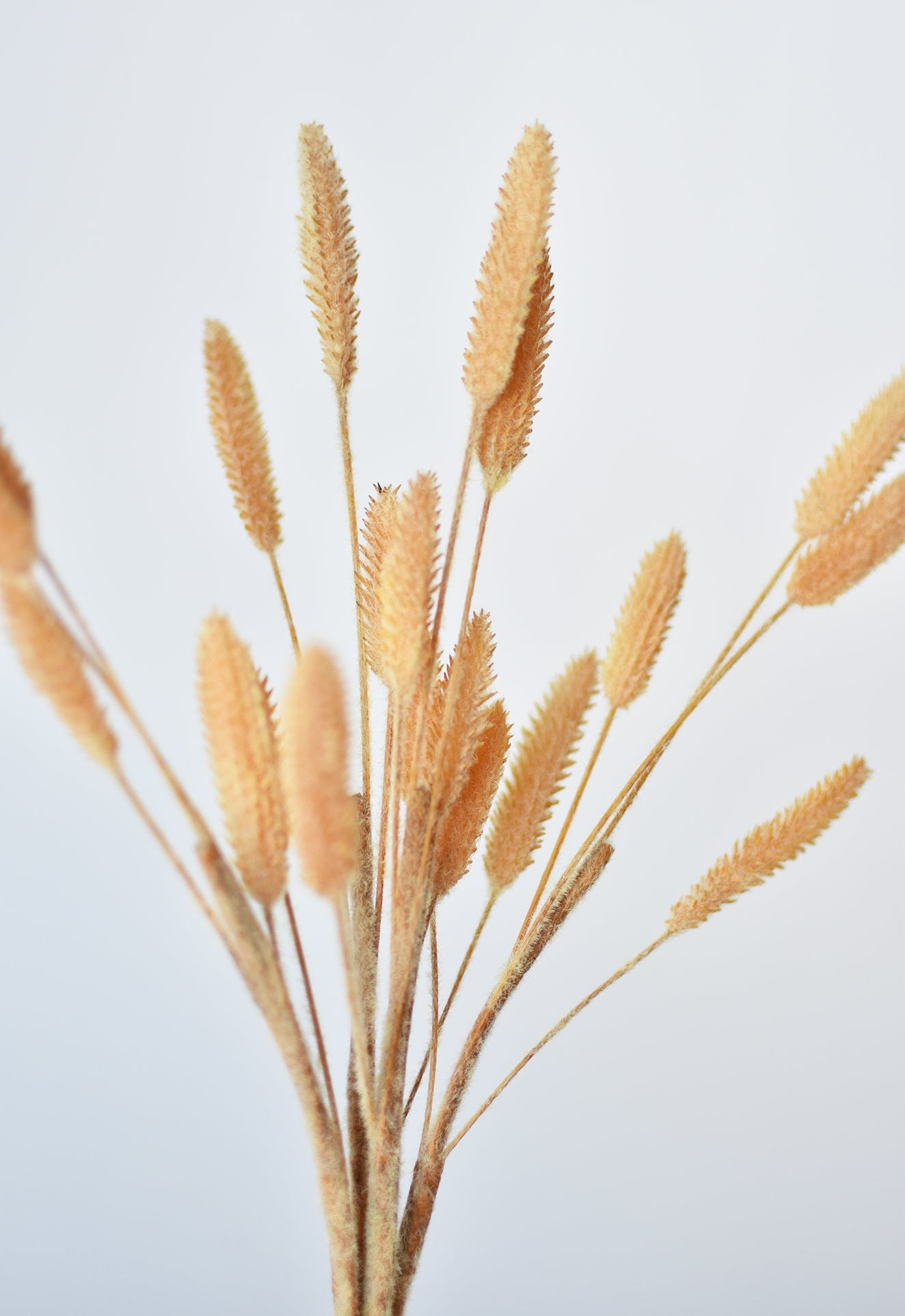 12.5" Faux Beige Reed Bundle | HouseFloral