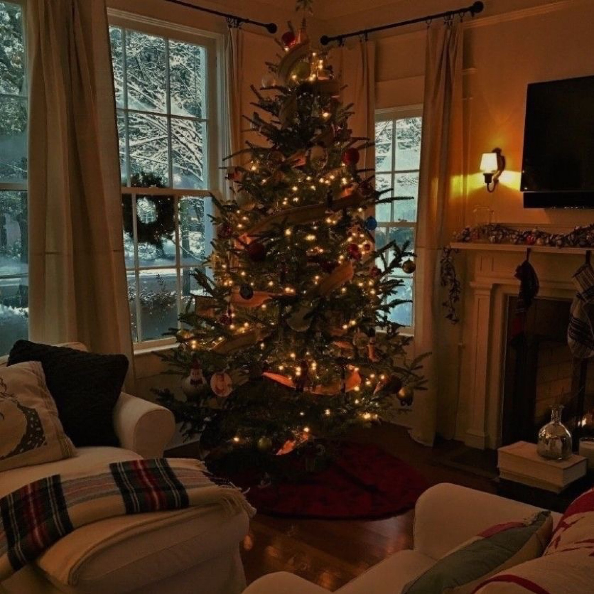 Christmas Wishlist 2023 🎄
Abercrombie Camo Jacket- Mens XL
Abercrombie Jeans- Light Destroy, 31 Long
Blundstone 585- size 10
Levi ribcage wide leg- 31x34