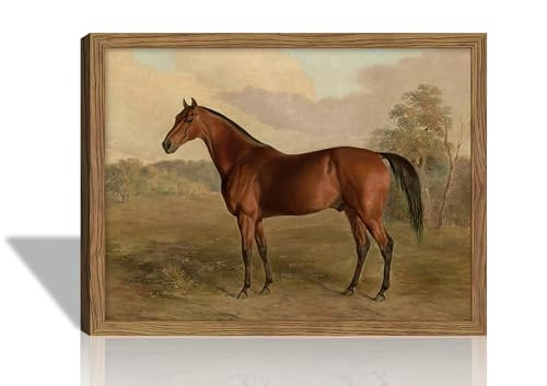 Vintage Framed Wall Decor – Horse Wall Art, Rustic Antique Canvas Prints, Equestrian Pictures Farmhouse Decor, Western Paintings Wall Hanging Decor for Living Room Bathroom Office Bedroom 12x16 Inch | Amazon (US)