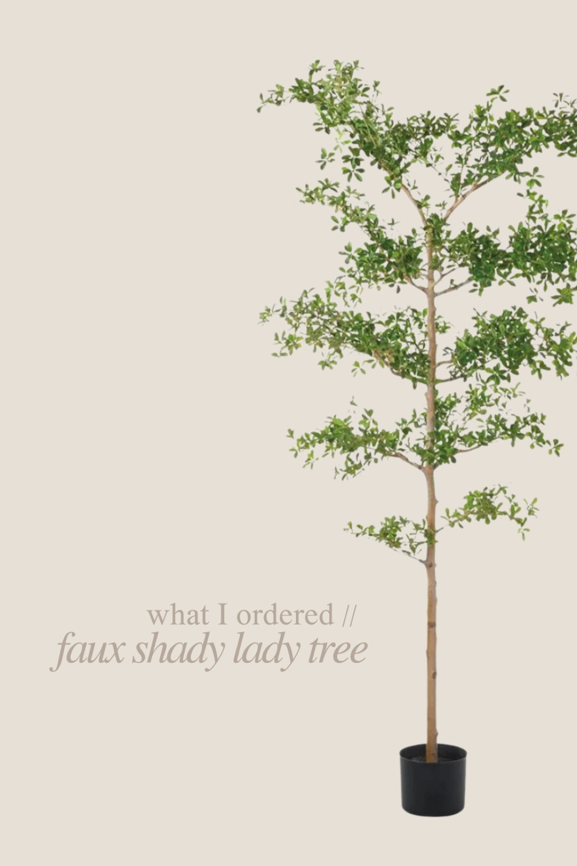 I ordered the 6 foot option and plan to get a tall planter to give it more height!

Faux tree, shady lady tree, faux plant, Etsy finds, living room decor, bedroom decor, fake plant

#LTKWatchNow #LTKHome #LTKStyleTip