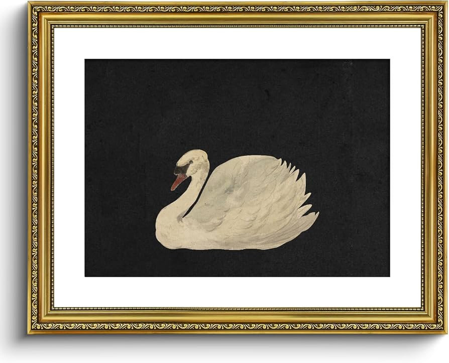 VIYYIEA Gold Framed Wall Decorations Canvas Wall Art, Grace Swan Painting Pictures Rustic Bathroo... | Amazon (US)