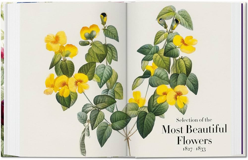 Redouté. Book of Flowers: The Complete Plates | Amazon (US)