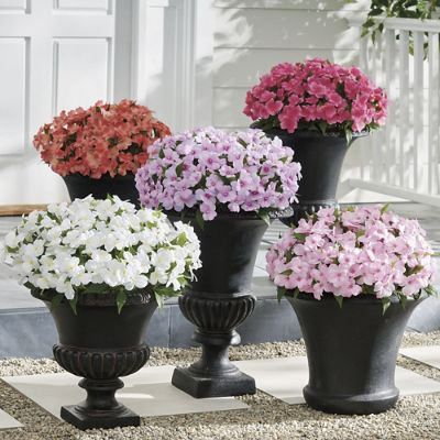 Impatiens Urn Filler | Grandin Road